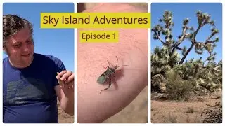 Sky Island Adventures 1