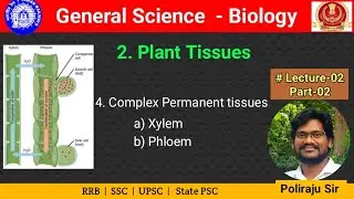Plant tissues  | Part-02 | RRB General science | Biology  | Lecture-02 | Telugu