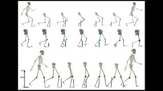 Biomeca3