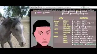 Horse Facial Expressions - Angry/Sad
