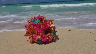 Slow motion video multi colored Hawaiian tropical bouquet