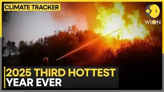 2025 Was the Third-Hottest Year Ever Recorded, Data Shows | WION