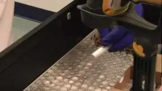 BioStorage Technologies