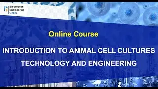 Online course Introduction to animal cell cultures technology and engineering