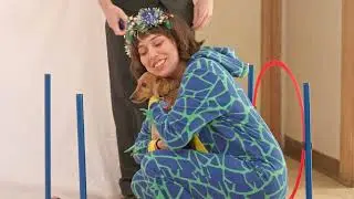 GameMaster2 Puppies YT