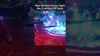 HOW RAIDEN MAINS FIGHT THE 3 MILLION HP BOSS