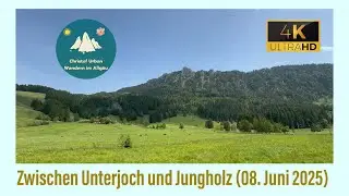 Windige Runde zwischen Unterjoch und Jungholz (08. Juni 2025)