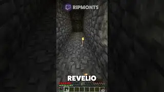 If Minecraft was Hogwarts Legacy