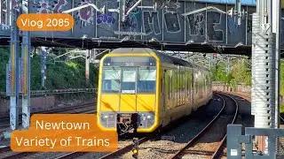 Sydney Trains Vlog 2085: Newtown - Variety of Trains