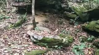 Hiking mill creek falls trail in York PA video 1