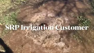 Flood Irrigation Underground SRP Customer