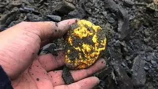 Encontr&oacute; ORO!