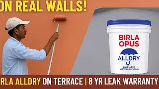 Birla Opus 2034 Instagram Filter | Exterior Wall Paint + Alldry Waterproofing on Terrace @opus