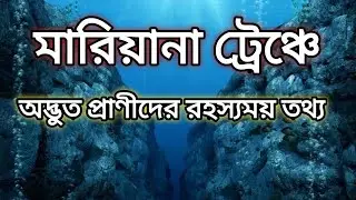 #mariyanadeepsea #mariyanatrenchbangla Mariyana Trench | Mariyana Trench Creatures | Challenger Deep