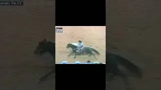 Barrel Racing | #shorts #barrelracer #barrelracing #rodeo #fypシ #nfr #barrelhorses #viral #fyp