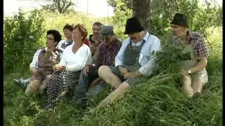 VRTEČJAKI  K&Uuml;N&Scaron;TNI PRLEKI