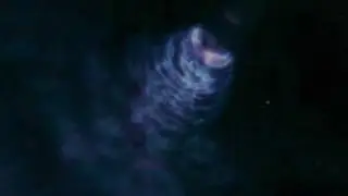 All Stargates wormhole (vortex)