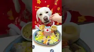 I can t stand this dinner anymore#Creative inspiration#Dog food live-streaming#Animals bec
