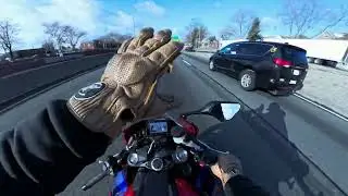 Bucky in the City rides in the Isle of Manhattan 