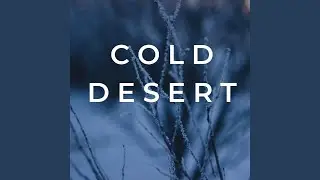 Cold Desert