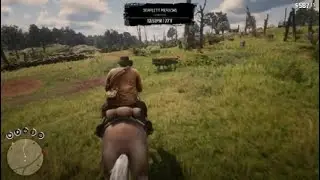 Horse racing crash rdr2