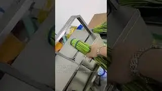 Automatic vegetable strapping machine for supermarket/store