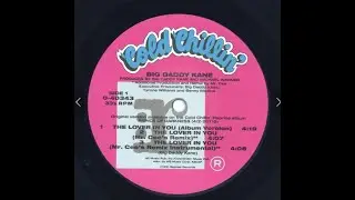 Big Daddy Kane  The Lover In You Mr Cee's Remix)