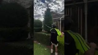 Превращаем этот палисадник в нечто стильное и элегантное 🌳✂️ #короткоевидео