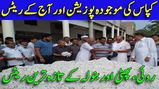 Today Cotton Prices in pakistan 2023 !! Today cotton rates !! increase Cotton prices