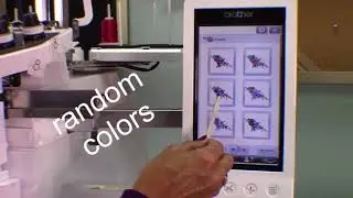 Color Shuffle with Angela Wolf