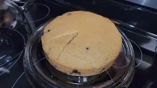 Blueberry Cornbread (Oil-free)