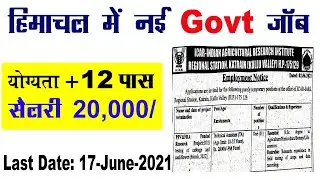 hp govt job alerts | all latest govt jobs | 12th pass free job alert | himachal job vacancy 2021