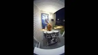 druming lion