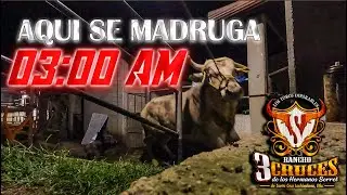 EN EL RANCHO SE MADRUGA ¡¡