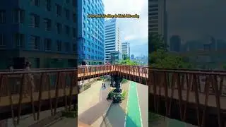 JPO Phinisi Pedestrian Bridge. Jakarta