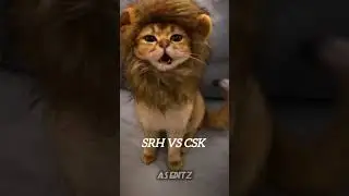CSK silenced SRH