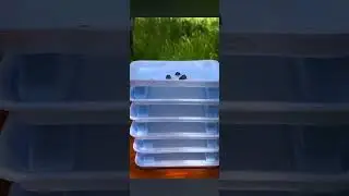 I woke up to a video on my phone (part 3)