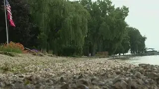Zebra mussels in lakes across Wisconsin threaten local ecosystems with toxic algae & mercury