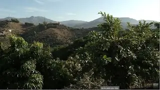 Huerta Tropical, La Axarquía, Málaga