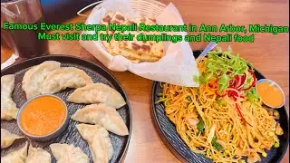 Our first visit to Nepali restaurant Everest Sherpa in Ann Arbor, Michigan || Momo is so good there|