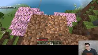 Minecraft the hunt for resources