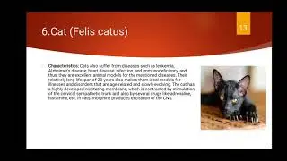 Study of different Laboratory Animals used in Pharmacology for experimental purpose.