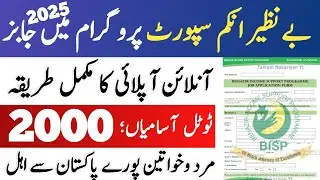 How to apply in BISP jobs 2025 online|how to apply in benazir income support program jobs  online