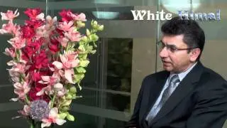 Visa Problems in the USA and the Ways of Solution