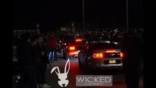 WICKED WARSAW / Exclusive car meeting