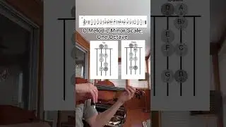 D Melodic Minor Scale #violin #violinmusic #music #violinist #scales #violinst #violinsongs