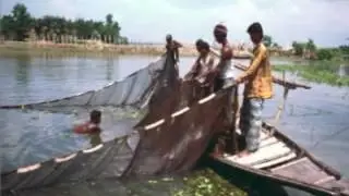 Environmental threat's (ENV)
