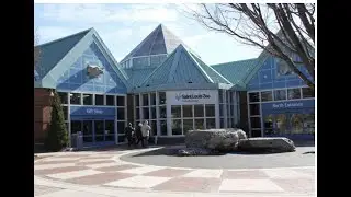 St Louis Zoo