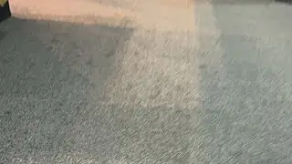 Transworld 2023