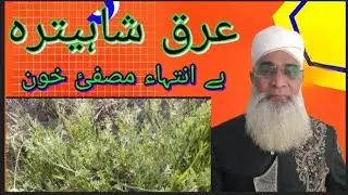 @TIBB KALIMY TUBE URDU. بے انتہا خارش اور جلدی بیماریوں میں مفید  مصفی خون 